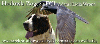 Hodowla owczarków środkowoazjatyckich ZOGCZA FCI